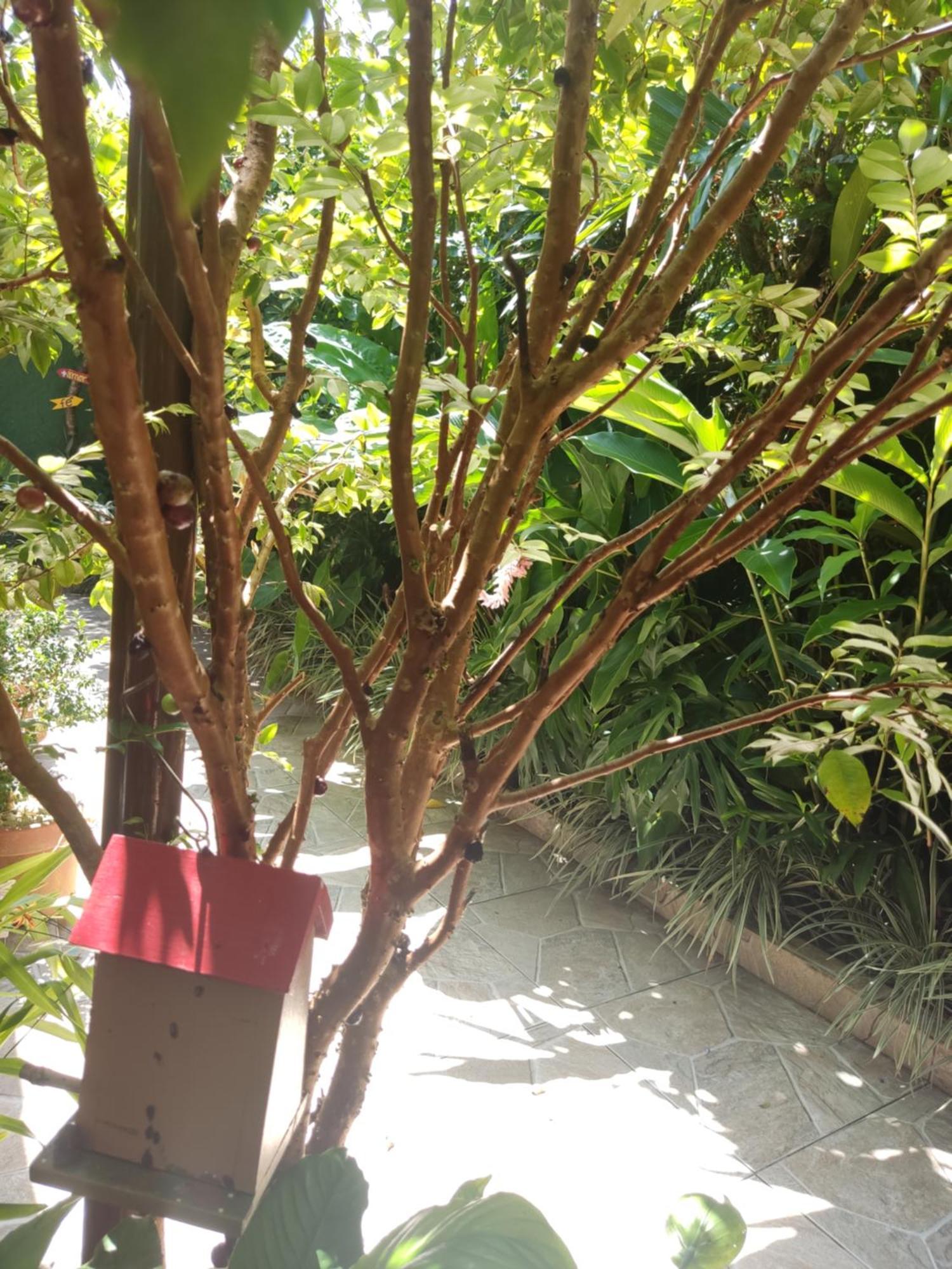 Recanto Toca Das Plantas De Ilhabela I Pokój zdjęcie